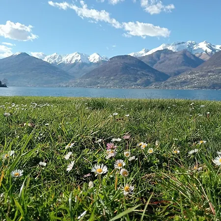 Bonita Vista * Colico