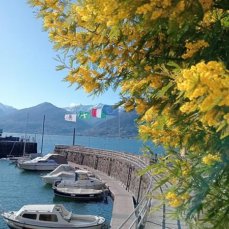 Apartament Bonita Vista *